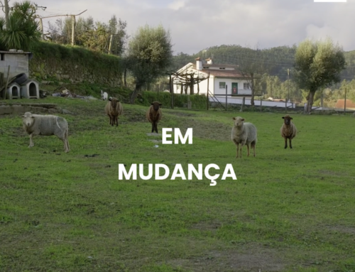 Parque Merendas – Short Video